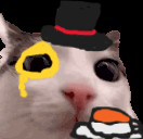 aristacrat fancy blinker cat